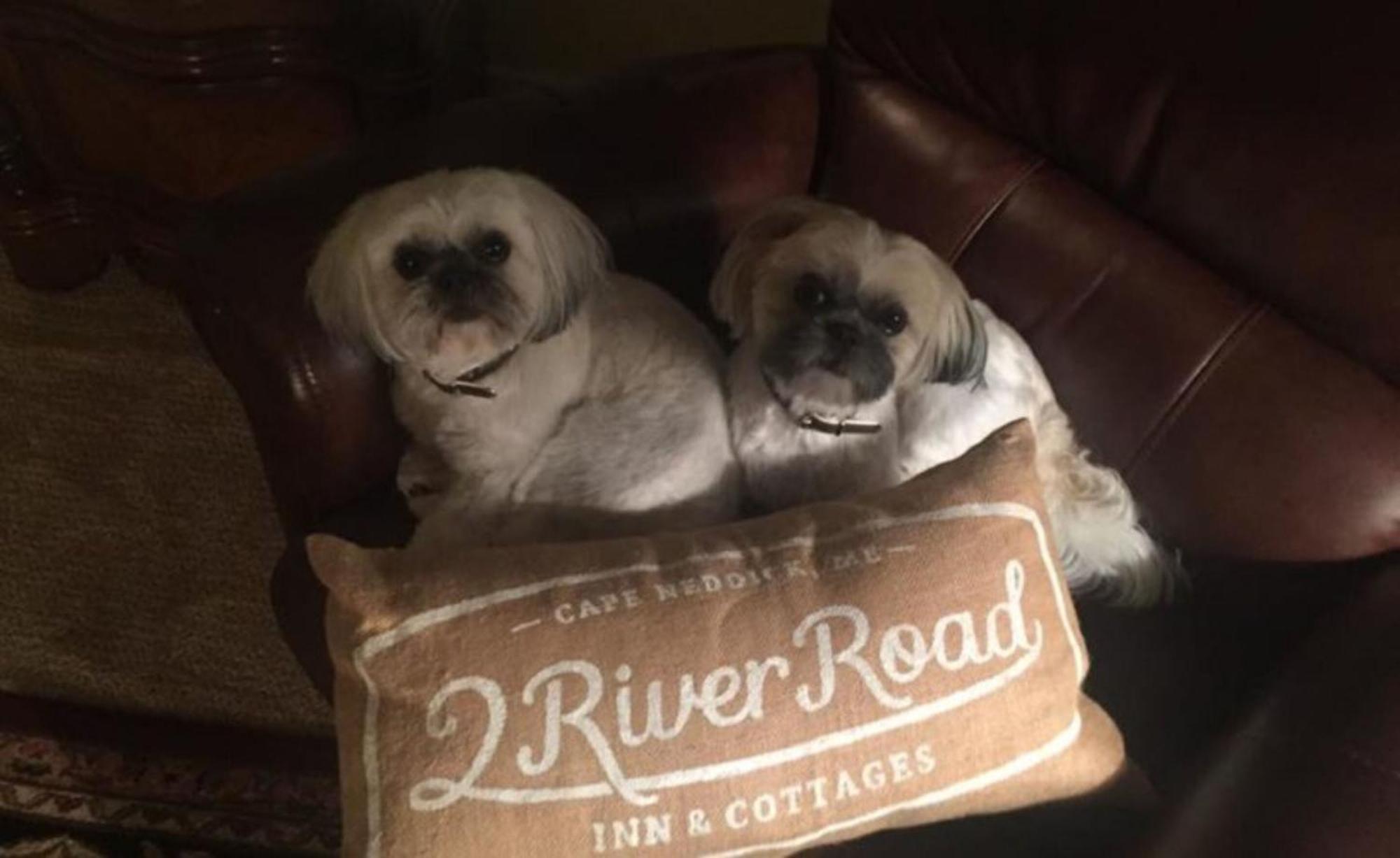 2 River Road Inn Cottages Cape Neddick Εξωτερικό φωτογραφία